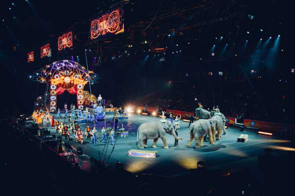 A circus show with elephants and different artists, some of them on motorcyles.